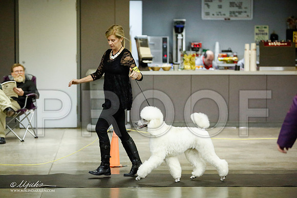 _JJ_5668-BeltonJan2015IABCA-HR3