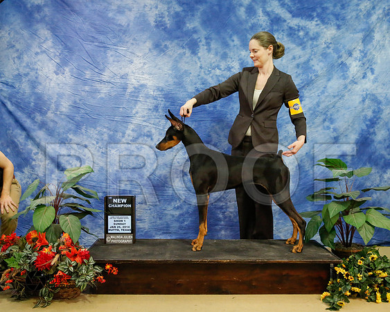 dobe-6875-HtoJan14-HR