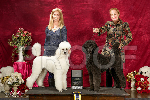 _ST_3035-BeltonJan2015IABCA-HR3