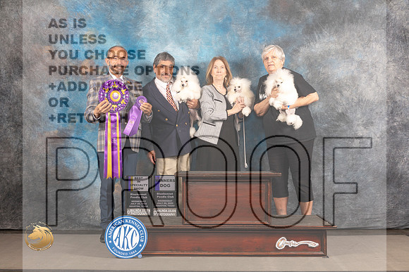 Poodle Toy #2 WED WD Judge Timothy Catterson_MJ_2518_Houston_2022_HR3