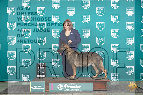 German Shepherd Dog #298 THur T10BOB Judge Stephanie Mueller__JP_0936_Premier_2024_HR3