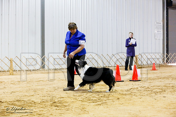 _JJ_5841-ASCACollegeStationNov2014-HR3