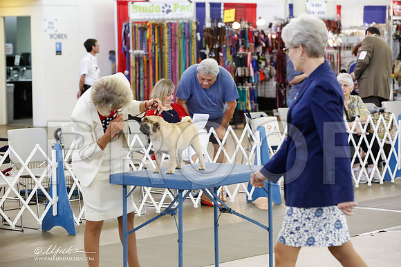 _HR_2755-DallasJul2014-HR3