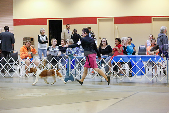_JN_8610-AmarilloSept2014-HR3