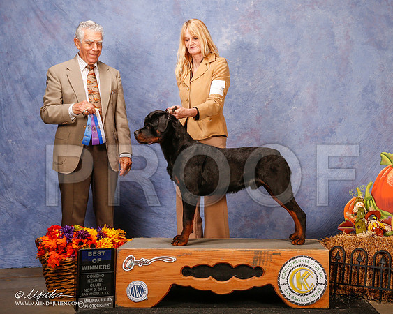 _CL_4586-2-SanAngelo2014-HR3