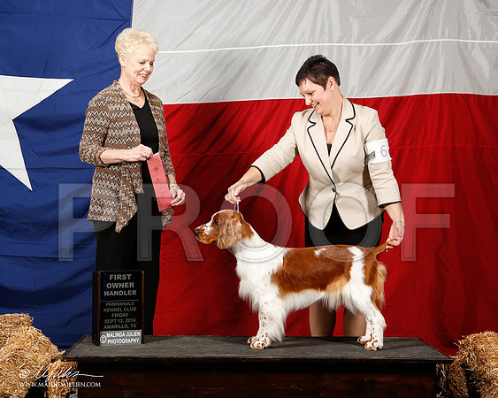 _ST_1525-2-AmarilloSep2014-HR3