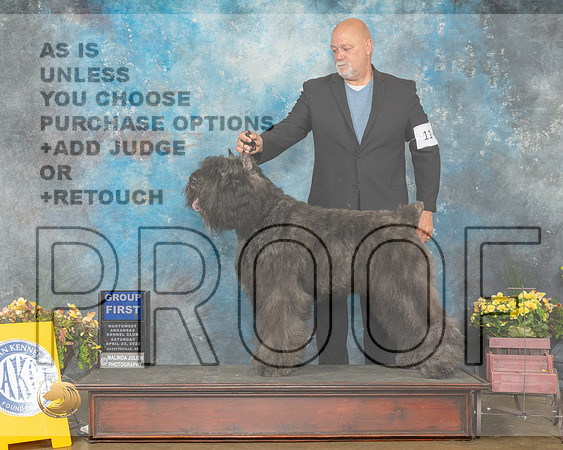 Bouvier des Flanders #11 Sat G1 Judge John Ramirez-MMJ_0722-NWARK2022-HR3