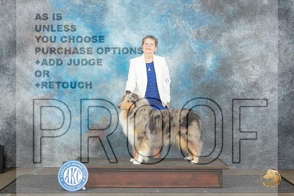 Collie Rough #6 Sat BOBCH Judge David Bolus__JP_3509_Lubbock_2024_HR3