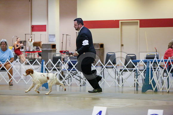 _JN_4565-AmarilloSept2014-HR3