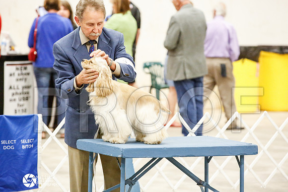 _JN_0663-AblnMay2014-web