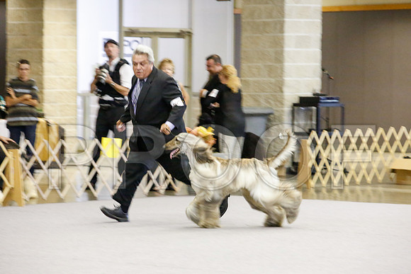 _JJ_1194-AfgBeltonOct2014-HR3