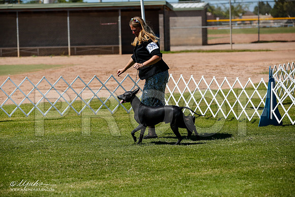 _JJ_8275-AlamogordoOct2014-HR3