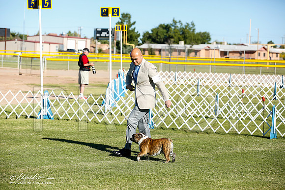 _JN_8307-AlamogordoOct2014-HR3