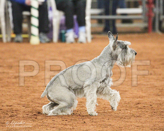 Fn20_1560