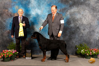 Rottweiler #9 Sat G3 Judge Robert Shreve