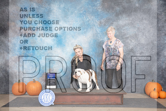 Bulldog #7 Sun BOW Judge Ray Filburn__JP_9154_Humble_2024_HR3