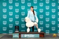 Poodle Std #1134 Thur AOE Judge Lori Sargent