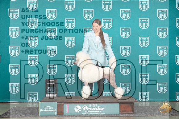 Poodle Std #1134 Thur AOE Judge Lori Sargent__JP_1046_Premier_2024_HR3