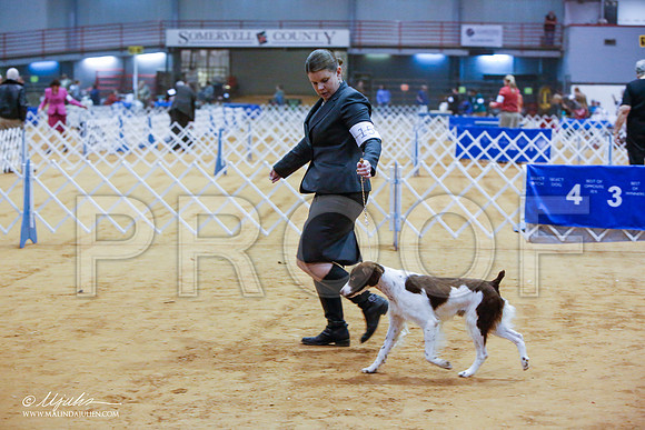 _JN_6199-GlnRoseJan2015-HR3