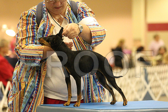 MJS_2671
