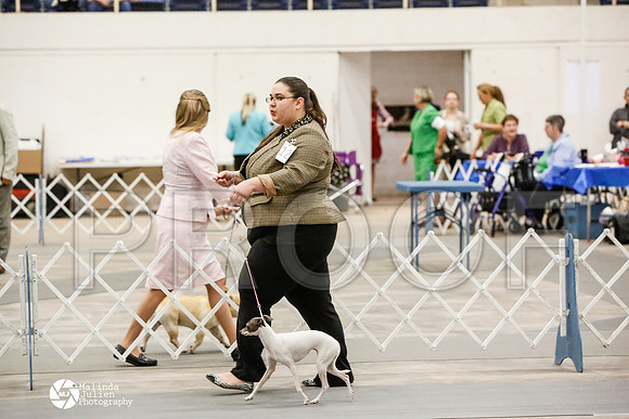 _CK_6051-AblnMay2014-web