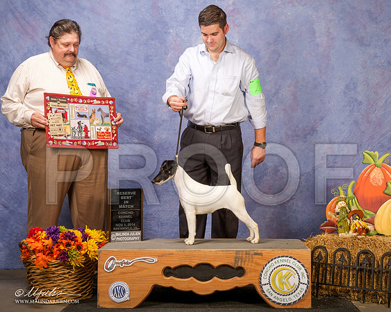 _CL_4571-SanAngelo2014-HR3