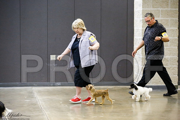 _J3L0231-BeltSep2014-HR