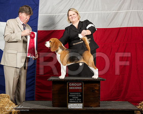 _ST_1450-AmarilloSep2014-HR3