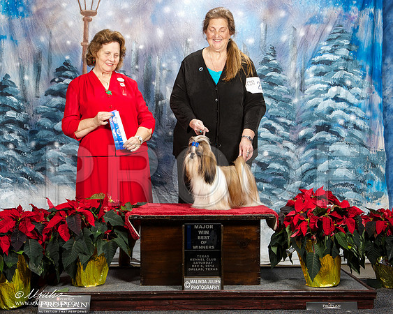 _ST_8567-DallasDec2014-HR3