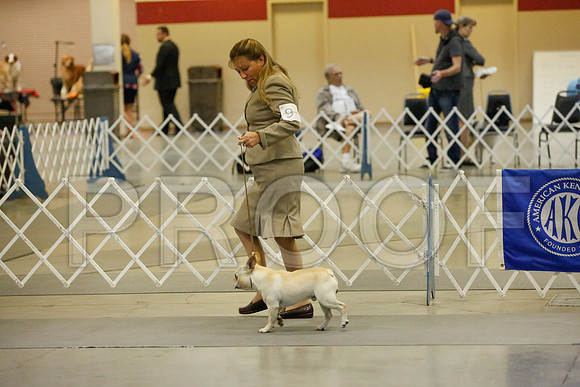 _JJ_8667-AmarilloSept2014-HR3
