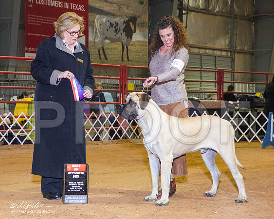 _RH_8896-GlenRoseJan2015-HR3