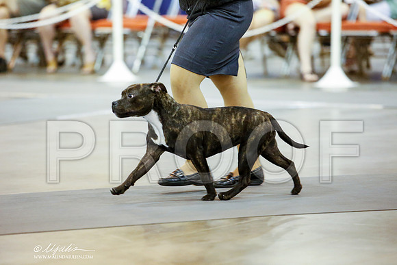 _JJ_6534-DalJul2014-HR3