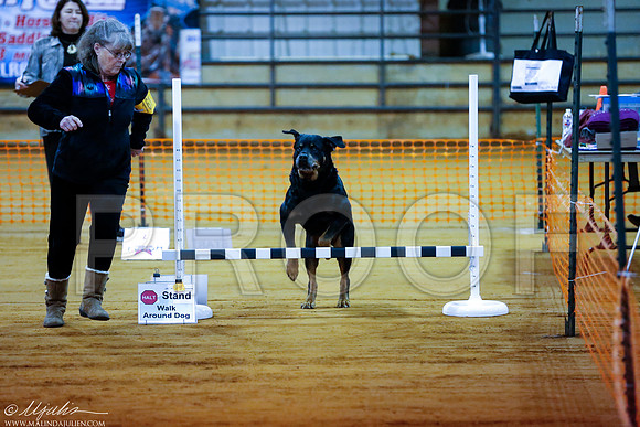 _RH_4542-MarshDec2014-HR