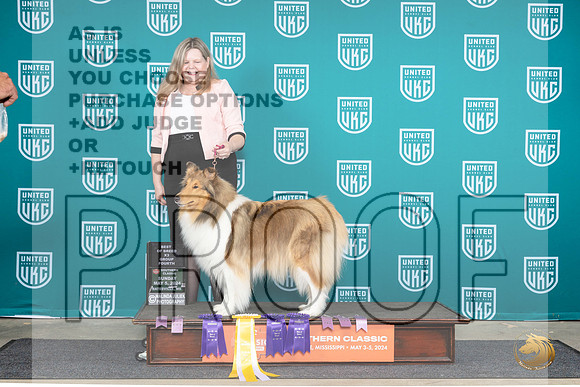 Rough Collie #158 FRI SAT SUN__JP_6668_BatesvilleMS_2024_HR3