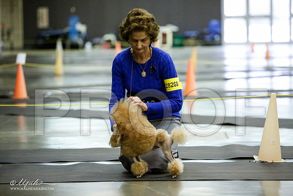 _JJ_5514-BeltonJan2015IABCA-HR3