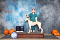 Saluki #12 Sun BOBOHBOBBOW M Judge Ann Roth