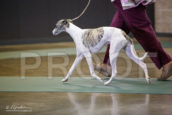 _JN_3691-BeltonJan2015-HR3