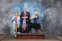 Doberman Pinscher #308 Sun RBIS Judges Matthew Proctor Chandra Martin