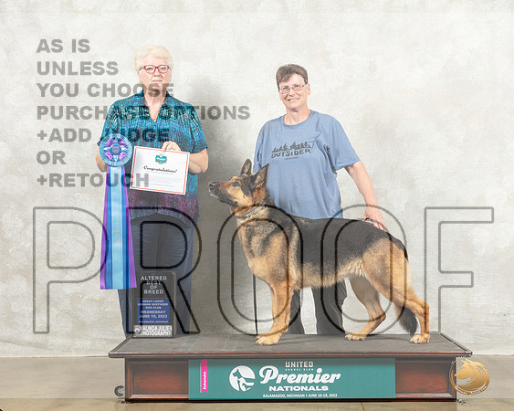 German Shepherd Dog #210 ABOB Judge Karen Cattin_MMJ_6678_Premier_2022_HR3