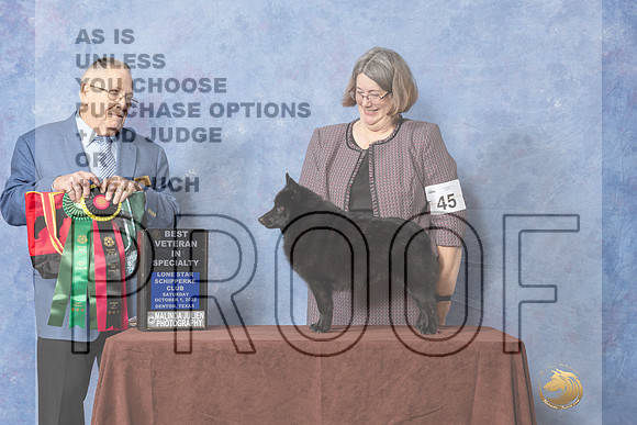 #45 BVet Judge Donald Gill-_CL_8946_Schip_2022-HR3