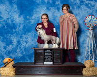 Chinese Cresteds #9 Fri BOW NC Lee Ida Kay Terry Lopez Judge Mr James G Reynolds RESHOOT