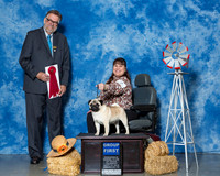 Pugs #7 Thrs G2 Ratliff Kristy Kevin Judge Mr James G Reynolds
