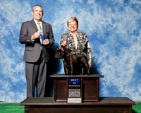French Bulldog #23 Thurs BOW KELLE Robert E and Pamela A Judge Mr Dana P Cline