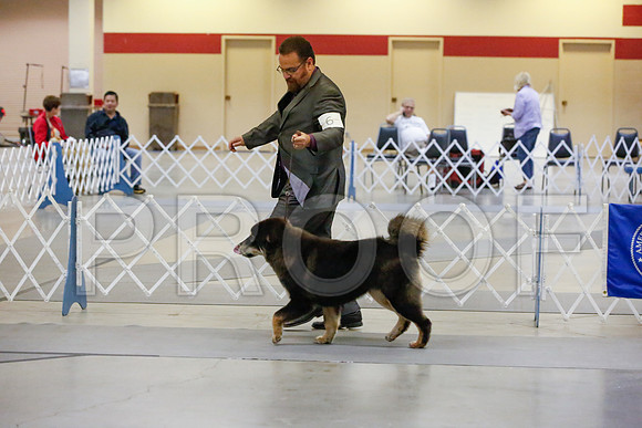 _JJ_9736-AmarilloSept2014-HR3