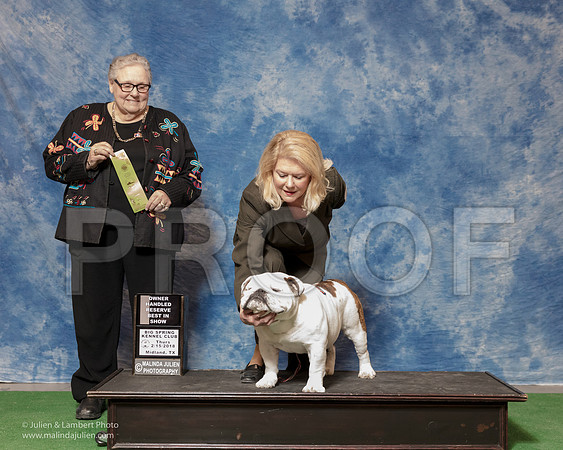 Bulldog #7 Thurs OHRBIS Linda Scott Judge Denny Mounce-_SR_6797