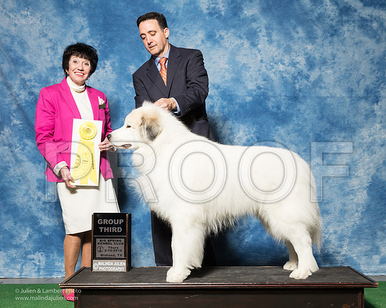 Great Pyrenees #5 Thurs G3 Mark Wadsworth Penny Jean Boyd Judge Barbara Alderman-_SR_6787e1