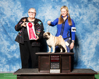 Pug #7 Thurs G2 Leftwich Mary DeLisa Holly Judge Denny Mounce