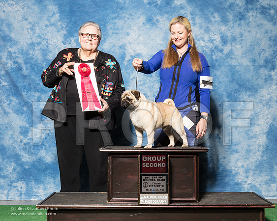 Pug #7 Thurs G2 Leftwich Mary DeLisa Holly Judge Denny Mounce-_SR_6771