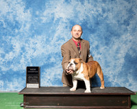 Bulldog #19 Fri BOW New Ch Dixon Rajeanna William E Dixon Sr Judge Nancy Simmons