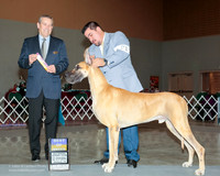 Great Dane #21 Fri BOB Arce F CE Campos S Taylor C McNamare Agent Brian Livingston Judge Dana Cline